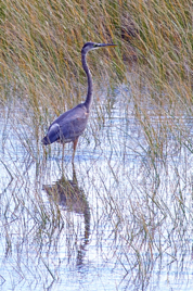 _MG_0761.jpg _MG_0761.jpg