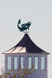 _MG_0957.jpg _MG_0957.jpg